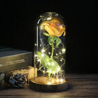 Niki – Eternal Rose in Glass Dome with Atmospheric LED Lighting