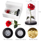 Niki – Eternal Rose in Glass Dome with Atmospheric LED Lighting