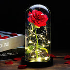Niki – Eternal Rose in Glass Dome with Atmospheric LED Lighting