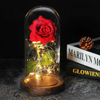 Niki – Eternal Rose in Glass Dome with Atmospheric LED Lighting
