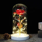 Niki – Eternal Rose in Glass Dome with Atmospheric LED Lighting