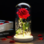 Niki – Eternal Rose in Glass Dome with Atmospheric LED Lighting