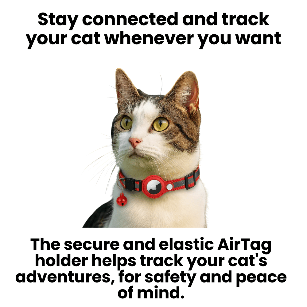 Niki | GPS Collar for Cats with Reflective Design