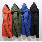 Niki | Insulated Jacket Polyester | Zipper, Removable Hood | Fall/Winter