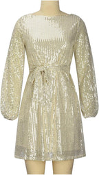 Niki | Women's Sparkling Sequin Mini Party Dress