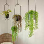 Niki | Luxury Modern Hanging Pots