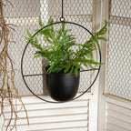 Niki | Luxury Modern Hanging Pots
