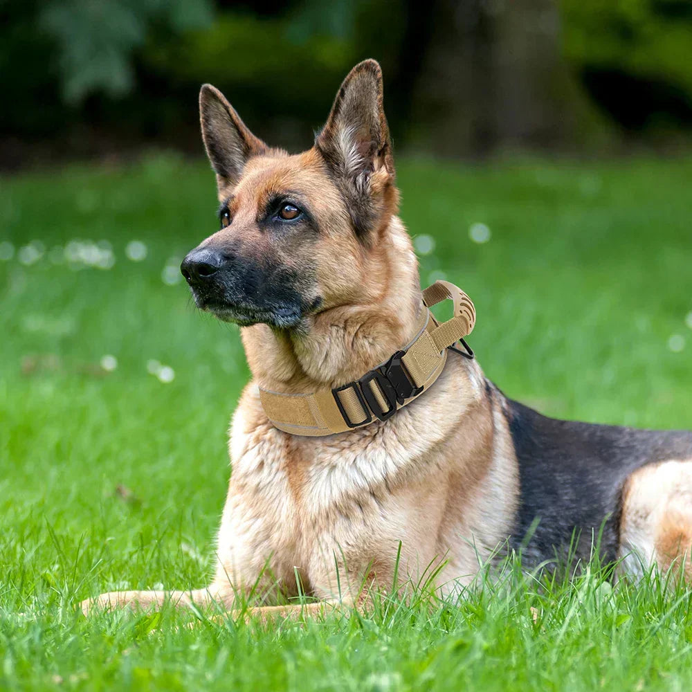 Niki | Military Dog Training Collar – Durable, Reflective Nylon Collar