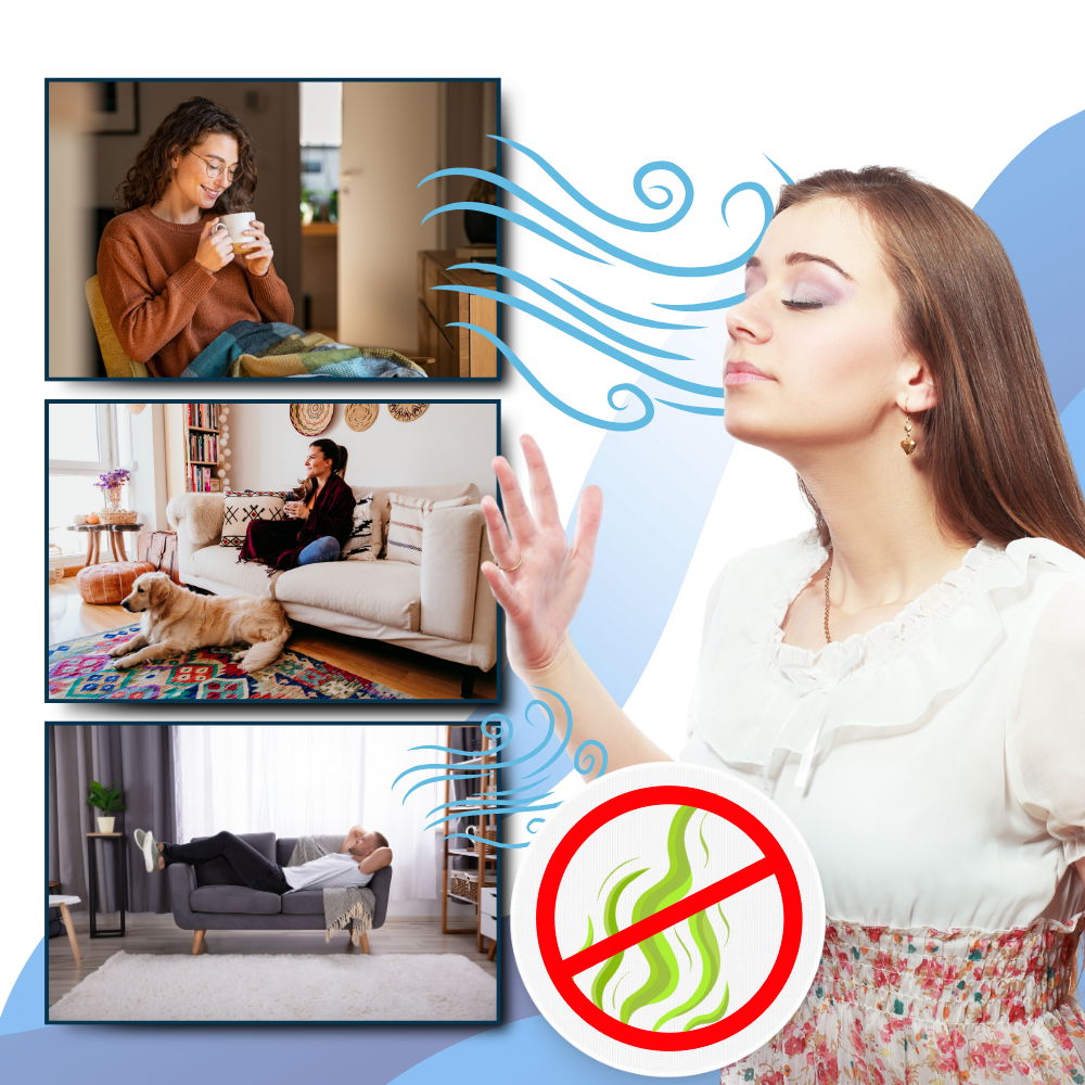 Niki | Multi-Surface UV Disinfectant Bulb – Strongest Bed Bug Killer for Home & Travel Use