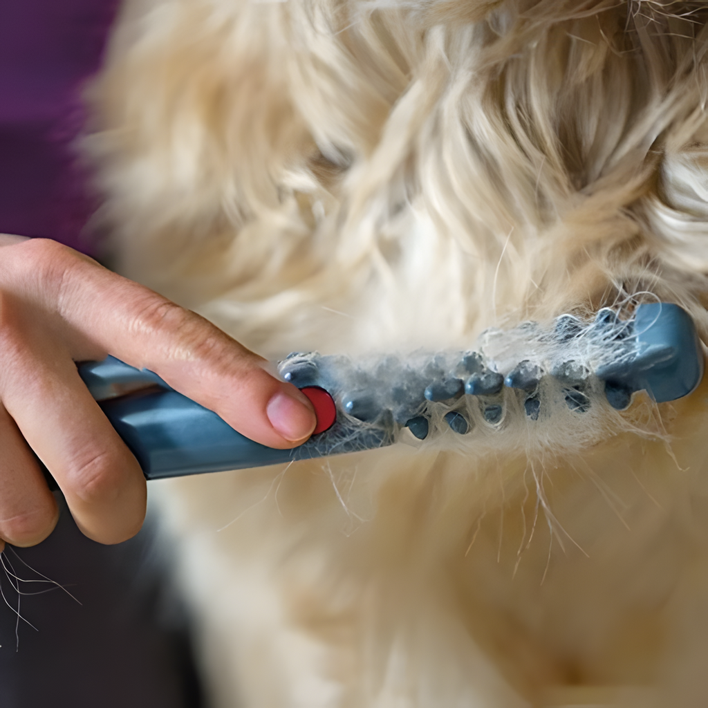 Niki | No more knots and tangles for your pet