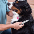 Niki | Pet Grooming Tool for Matted Fur and Tangles