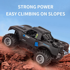 Niki | Offroad Remote Control 4WD RC Car Toy