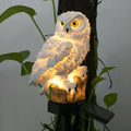 Niki | Owl Garden Lamp with Solar Energy - OwlGlow