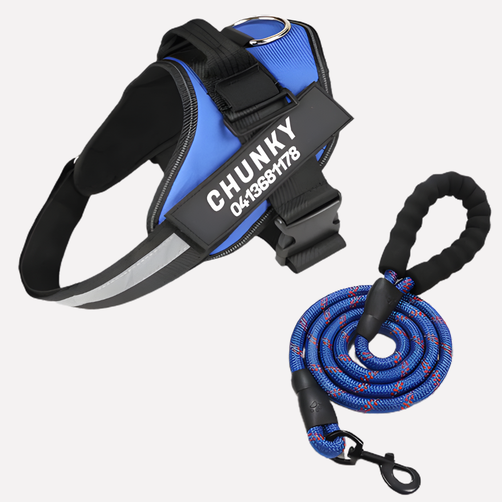 Niki | Personalized No-Pull Dog Harness with Front Clip