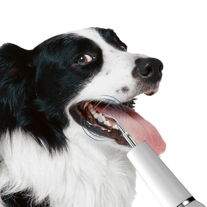 Niki | Pet Oral Cleaning Tool for Fresh Breath & Grooming Care