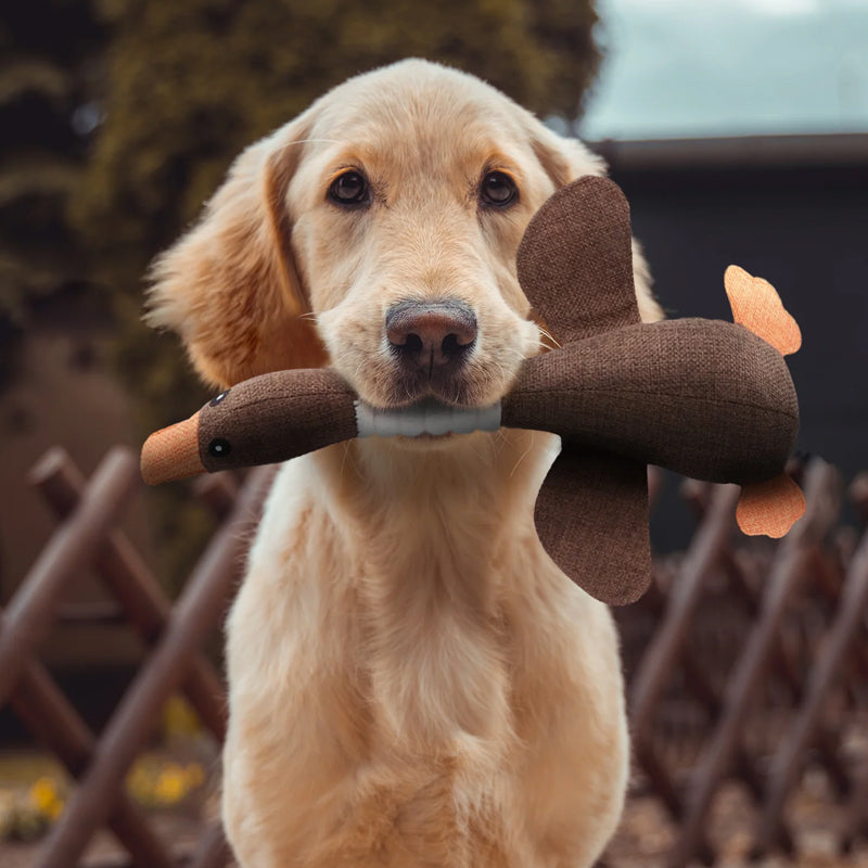 Niki | Soft Duck Toy for Dog Engagement