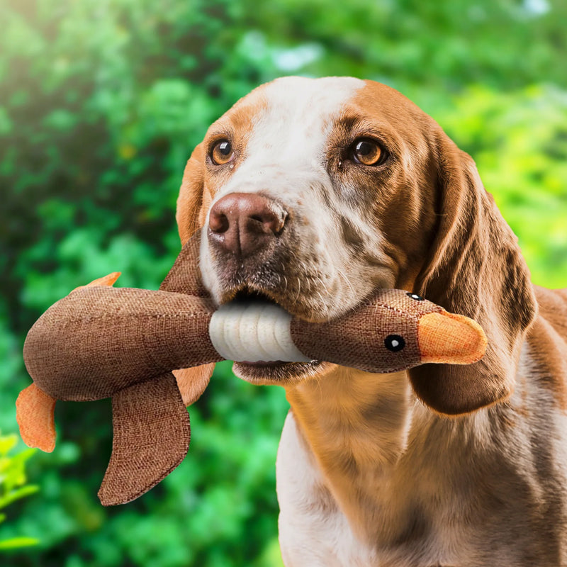 Niki | Soft Duck Toy for Dog Engagement