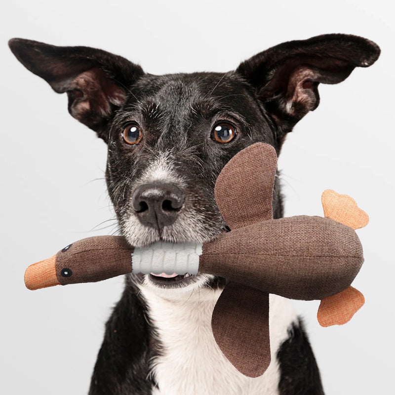 Niki | Soft Duck Squeaker Toy for Playtime & Cuddles