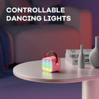 Niki | Veylo Portable Karaoke Speaker with 2 Wireless Mics