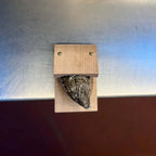 Niki | Premium wood handle oyster shell opener clamp