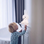 Niki | Rabbit Decorative Figure | Iconic Figure Design