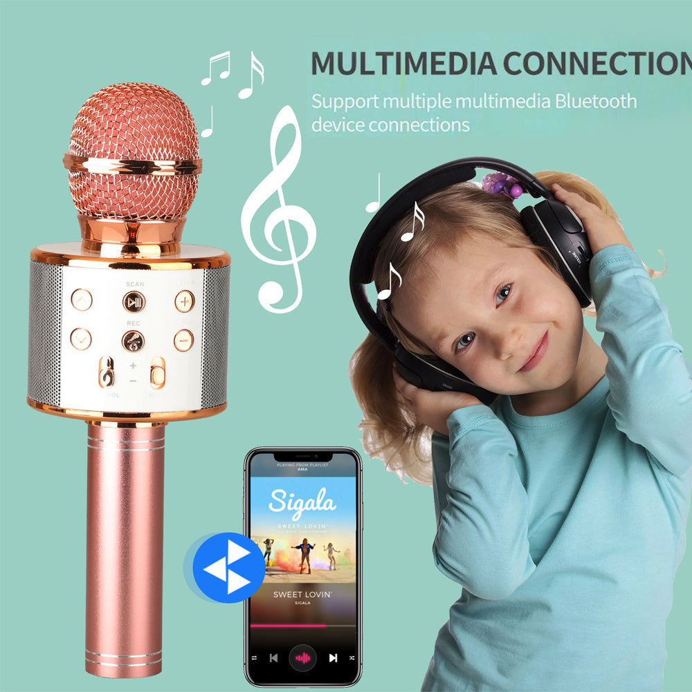 Niki | Rechargeable Wireless Bluetooth Karaoke Microphone