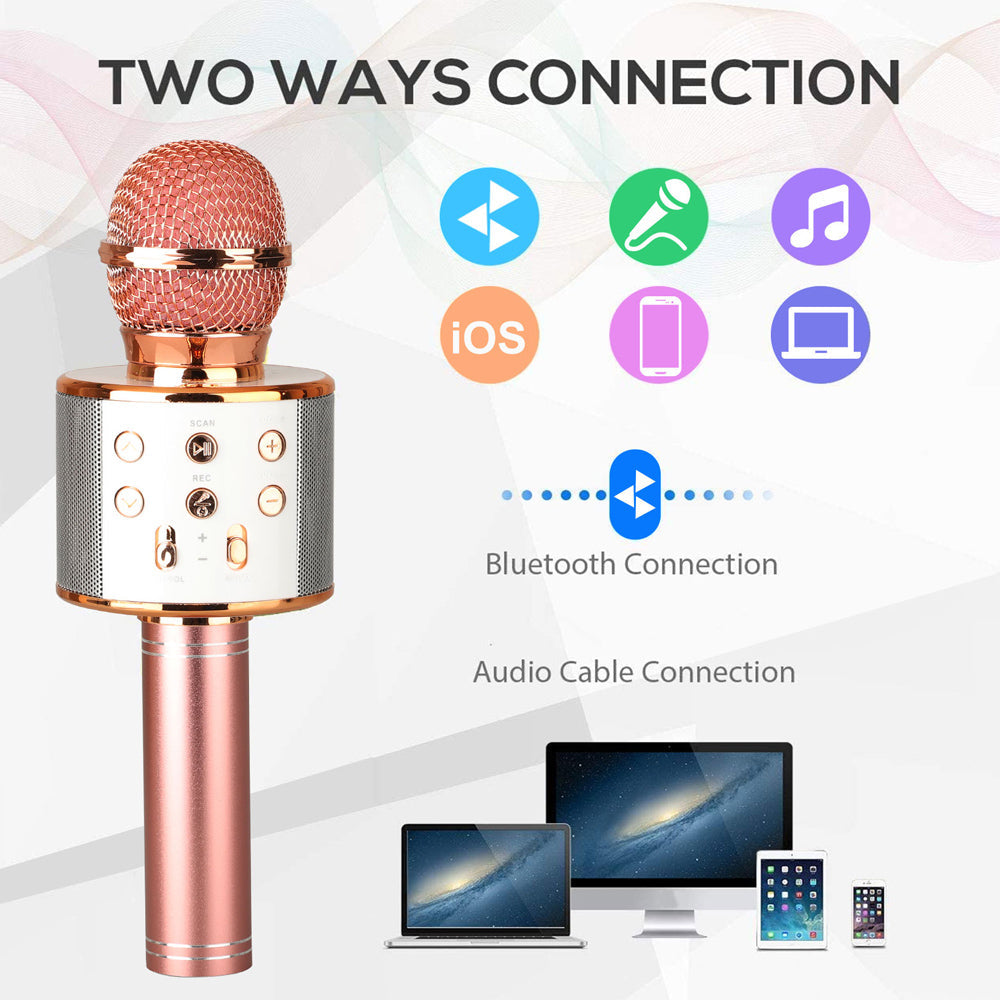 Niki | Rechargeable Wireless Bluetooth Karaoke Microphone
