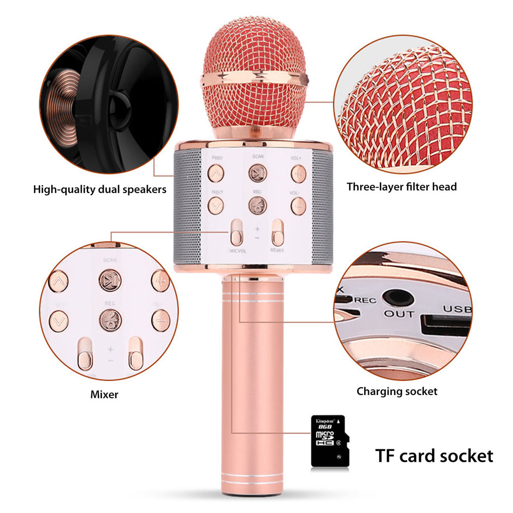 Niki | Rechargeable Wireless Bluetooth Karaoke Microphone