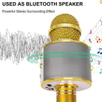 Niki | Rechargeable Wireless Bluetooth Karaoke Microphone