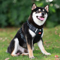 Niki | Secure Dog Vest | Adjustable No-Pull Control Harness