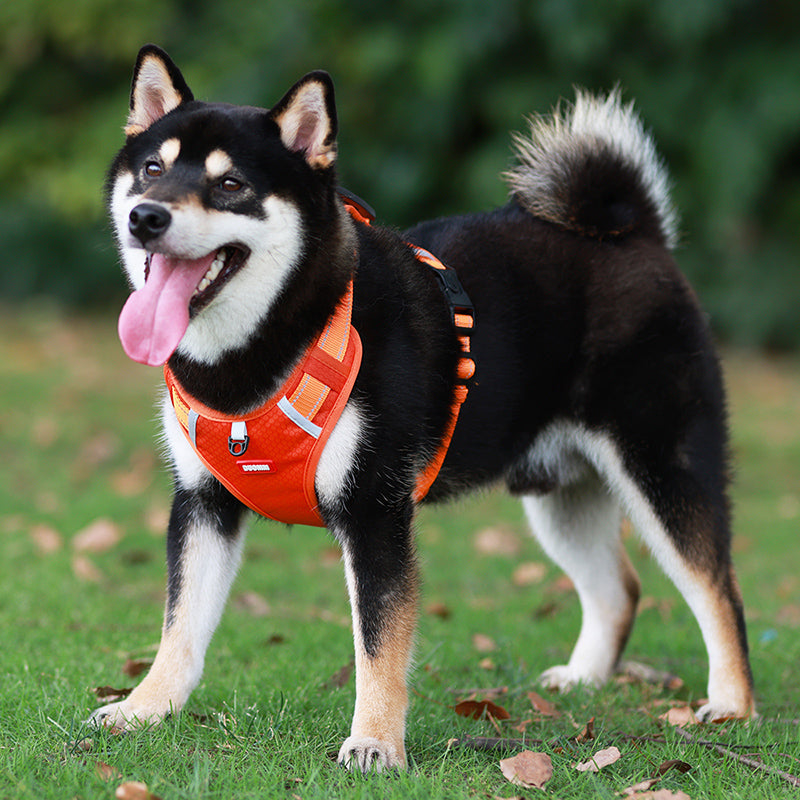 Niki | Secure Dog Vest | Adjustable No-Pull Control Harness