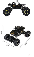 Niki | Remote Control Car 4x4 Rock Crawler Monster Truck