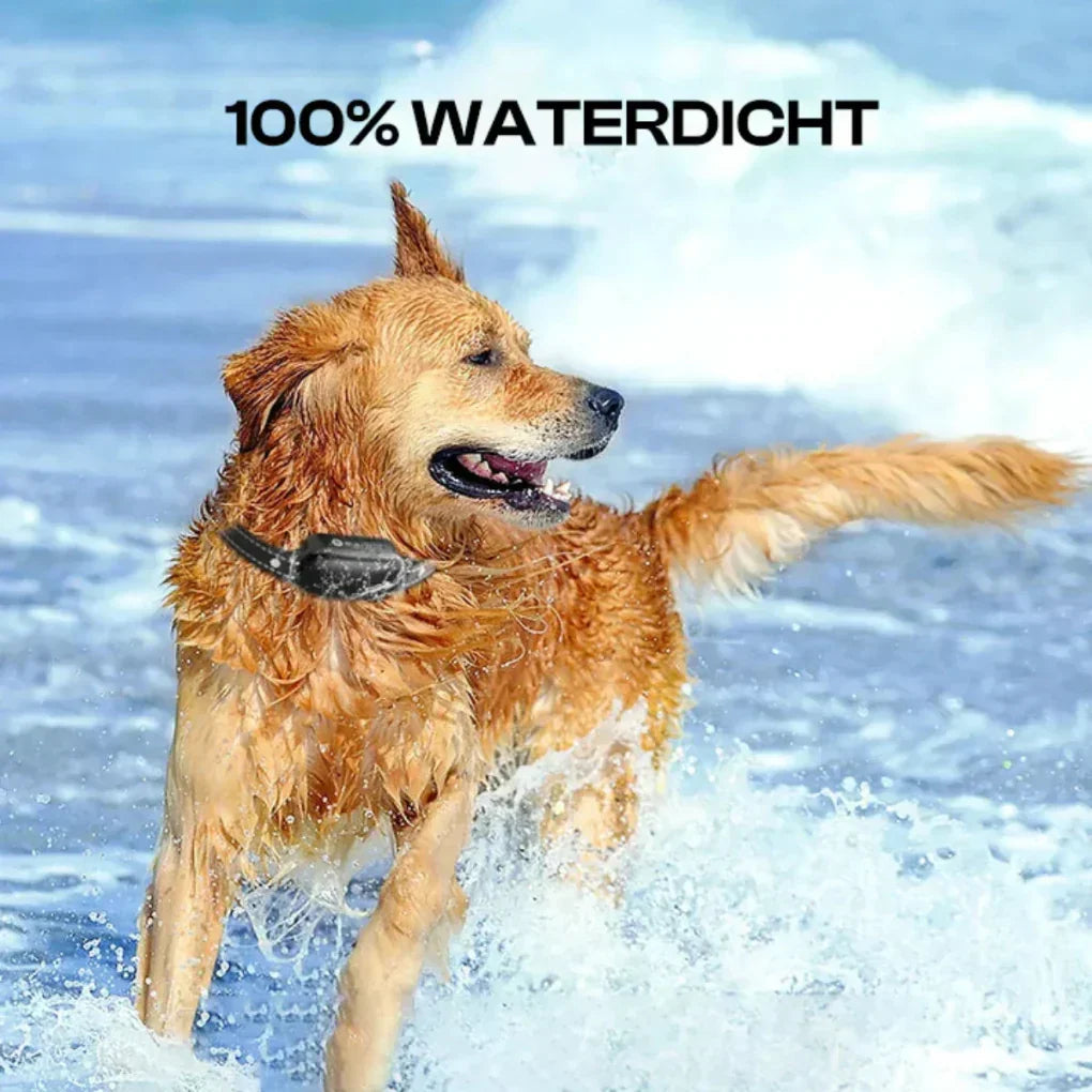 Niki | Remote Dog Training Collar with Long Range