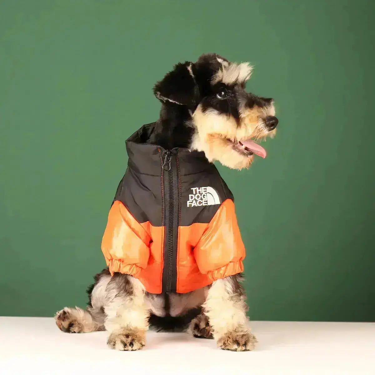 Niki | The Dog Face Jacket - Type A