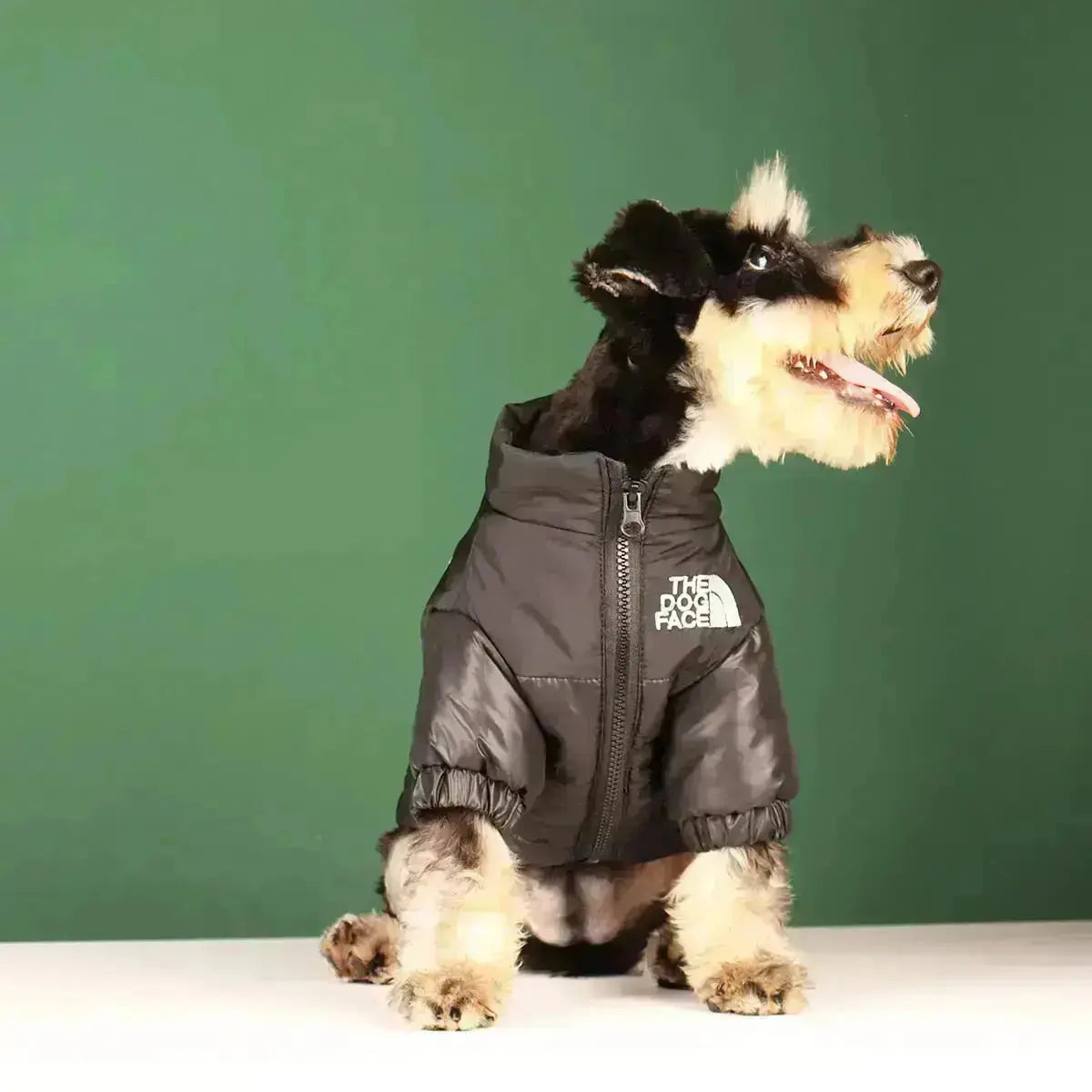 Niki | The Dog Face Jacket - Type A