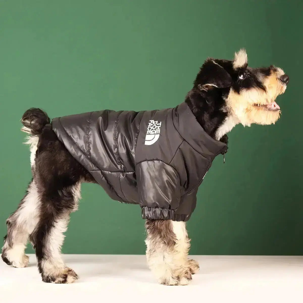 Niki | The Dog Face Jacket - Type A