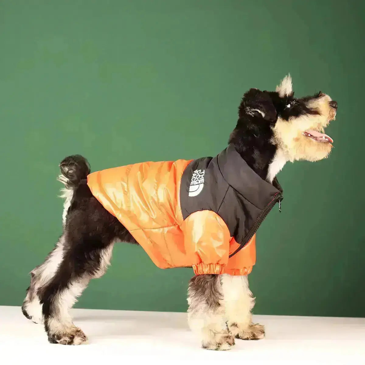 Niki | The Dog Face Jacket - Type A
