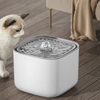 Niki | Ultra-Quiet 3L Pet Water Fountain