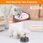 No Spill Dog Cat Water Bowl Spill Proof Slow Water Feeder