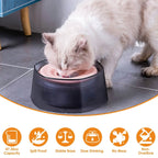 No Spill Dog Cat Water Bowl Spill Proof Slow Water Feeder