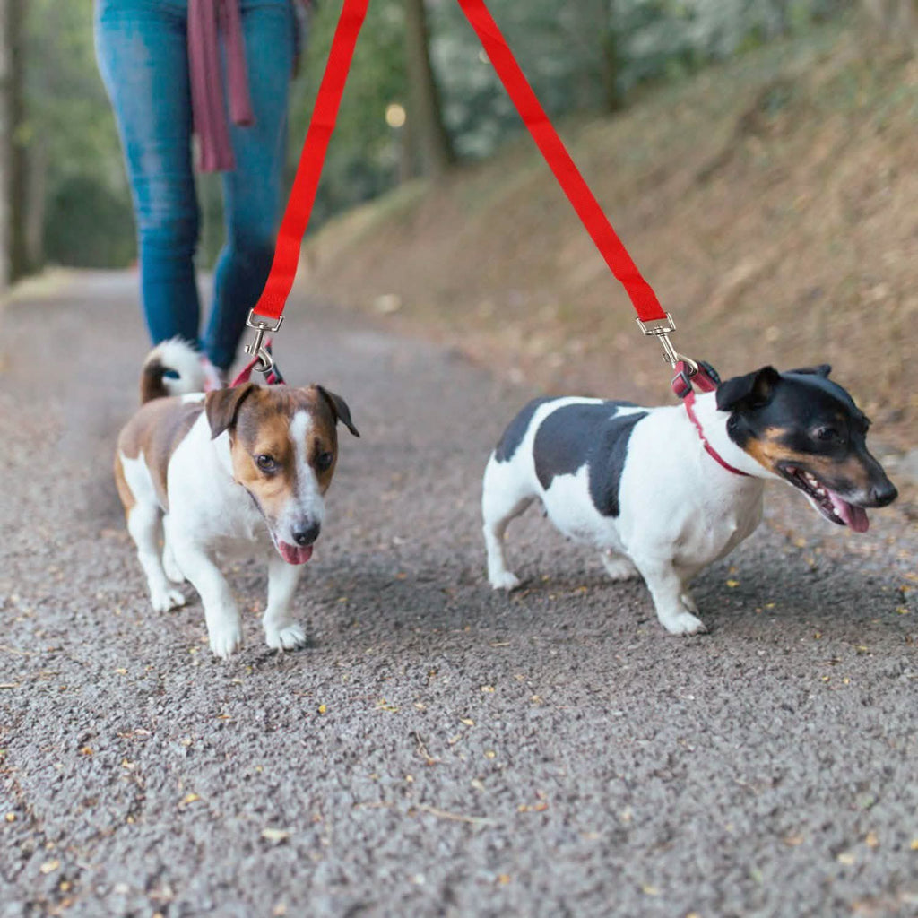 No-Tangle Dual Dogs Leash