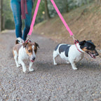 No-Tangle Dual Dogs Leash