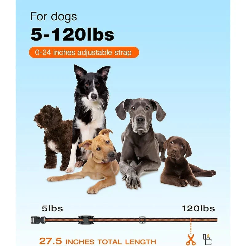 NovaPace 1000m Remote Dog Training Collar, Waterproof