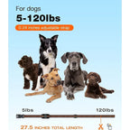 NovaPace 1000m Remote Dog Training Collar, Waterproof