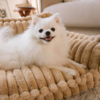 Orthopedic Dog Bed CaniSofa – Joint Support, Washable Cover, Comfortable Headrest