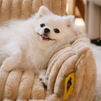 Orthopedic Dog Bed CaniSofa – Joint Support, Washable Cover, Comfortable Headrest