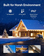 Outdoor Holiday Lighting