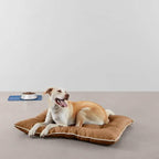 Outdoor Large Water Repellent Pet Pillow Bed
