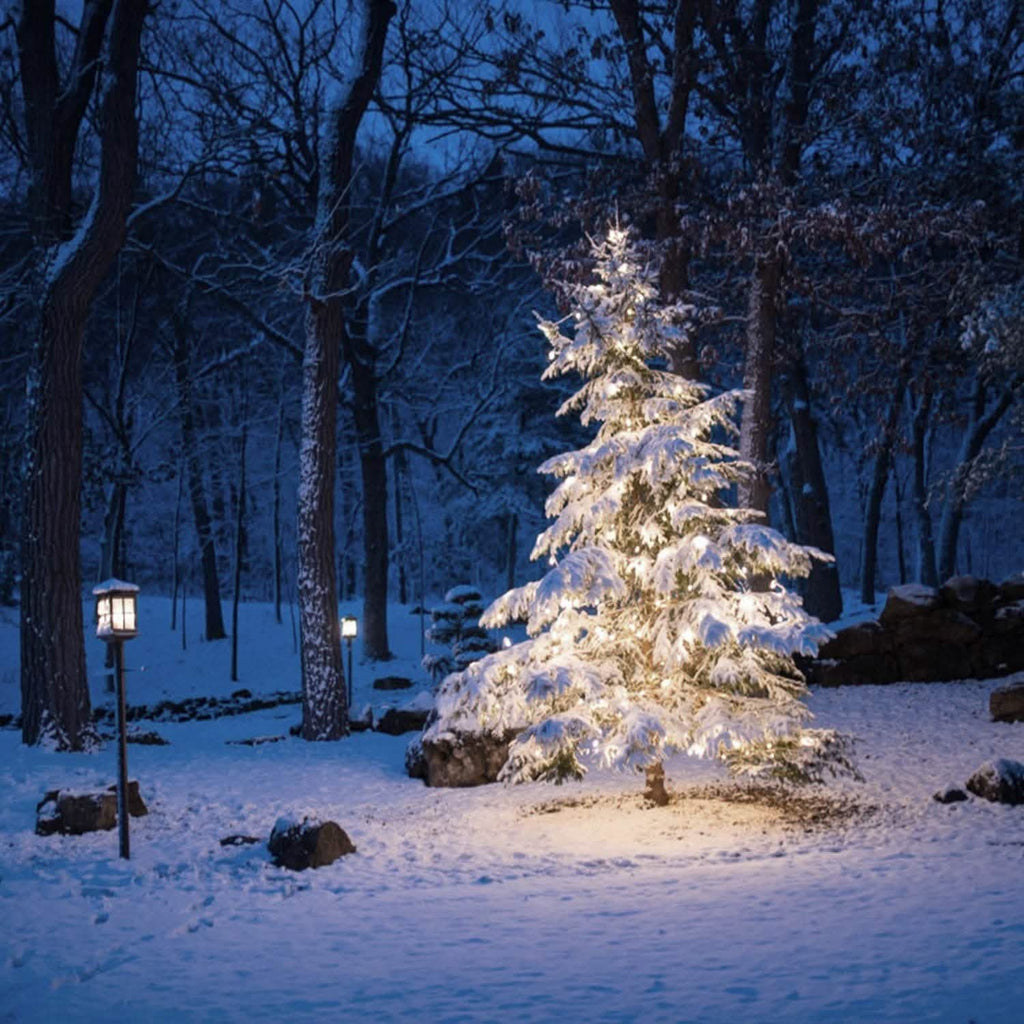 Outdoor Solar String Lights