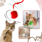 Smart Interactive Cats Ball Toy